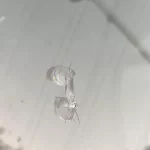 ترک ترمیم شیشه اتومبیل ال نود