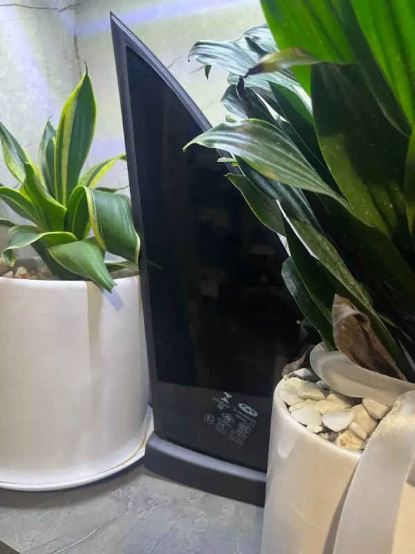 photo_5832500987824900957_y